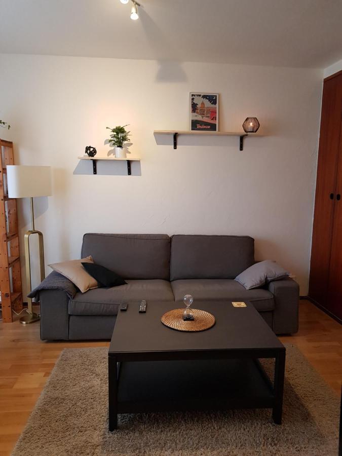 Superbe Appartement En Residence Avec Parking Τουλούζη Εξωτερικό φωτογραφία